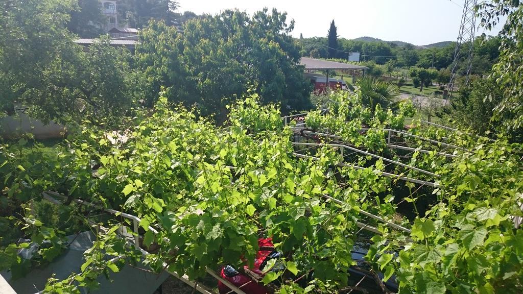 Apartments Sandra بوريتش المظهر الخارجي الصورة